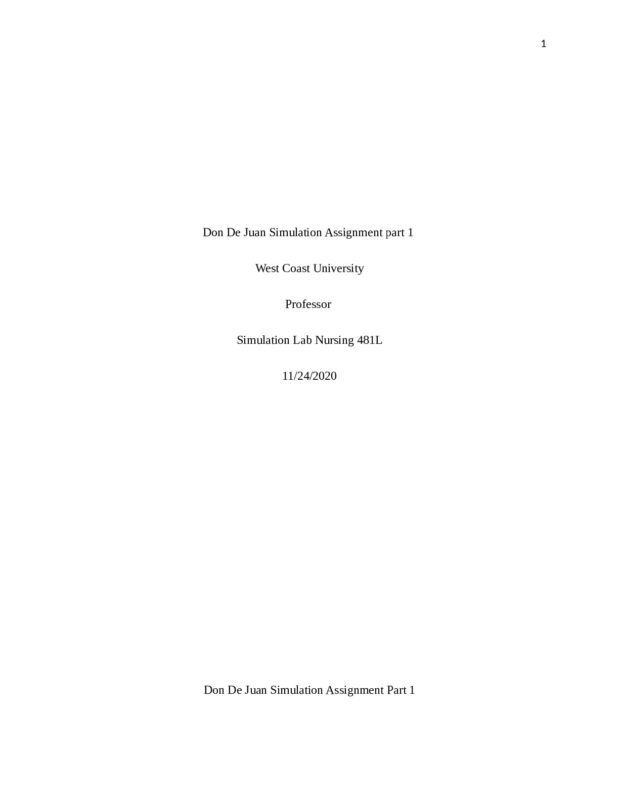 Preview image for NURS 481L  Simulation Assignment